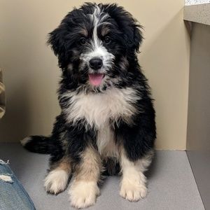 Meet your Posher, Brianna